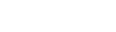 Designerfleet Logo